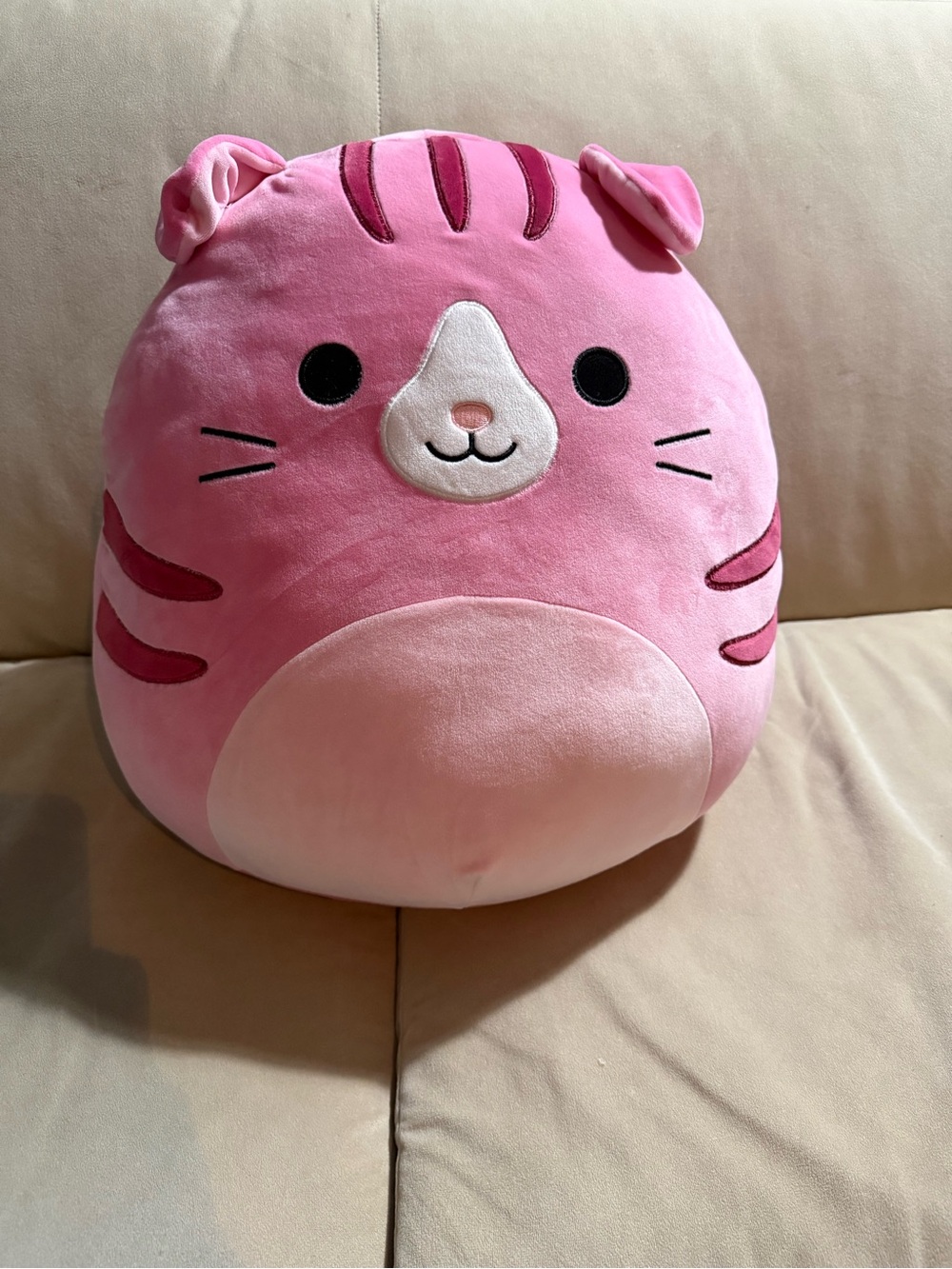 Squishmallows Geraldine Pink Scottish Fold Cat 16” Plush